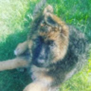 Meet your Posher, Jess